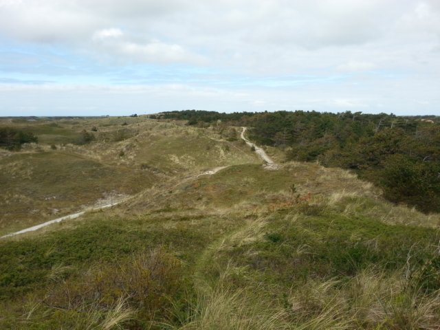 HWK Texel 056.jpg